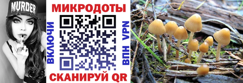 Псилоцибиновые грибы MAGIC MUSHROOMS  Купить где  Камешково 